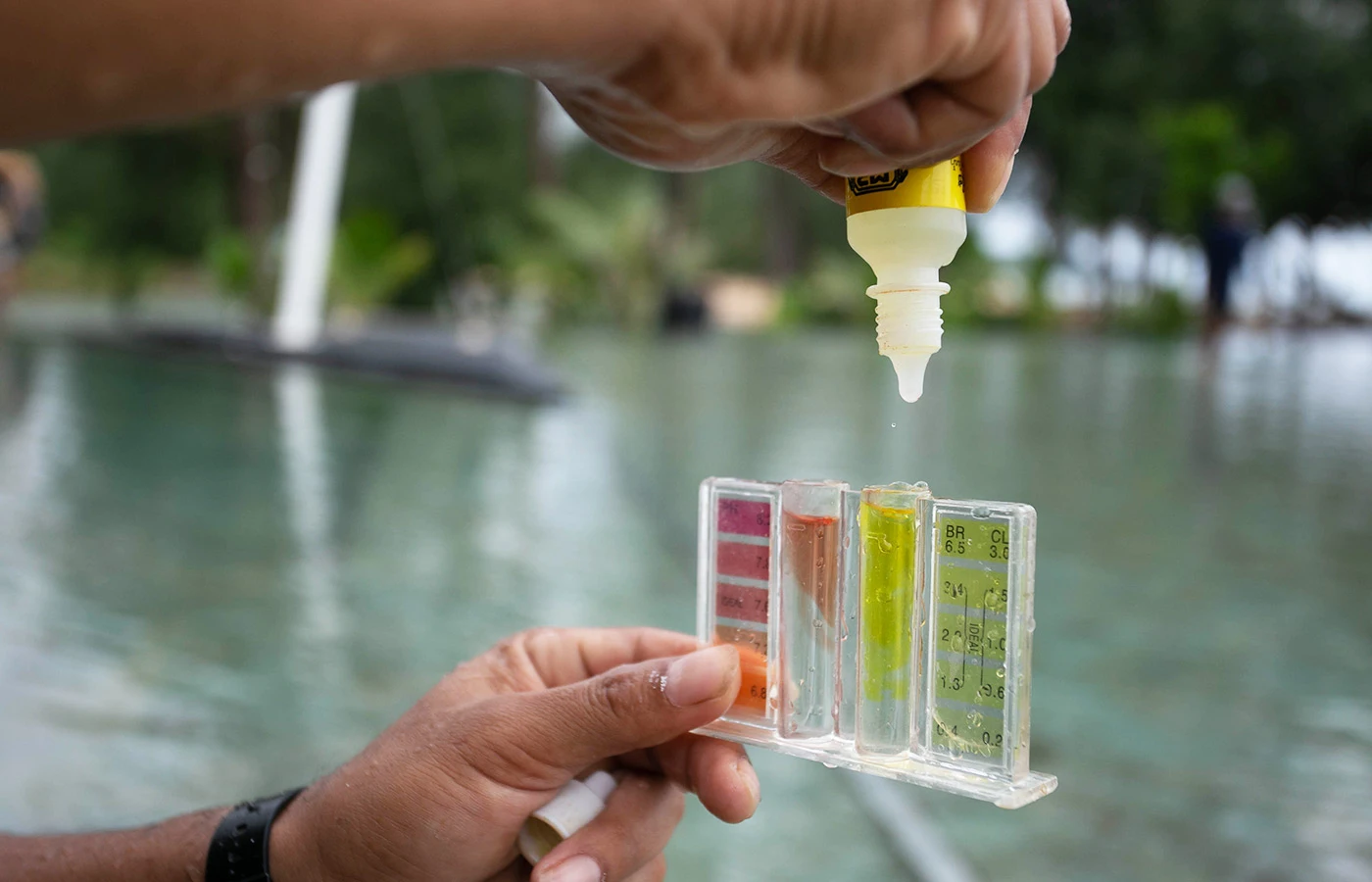 Pool Disinfection